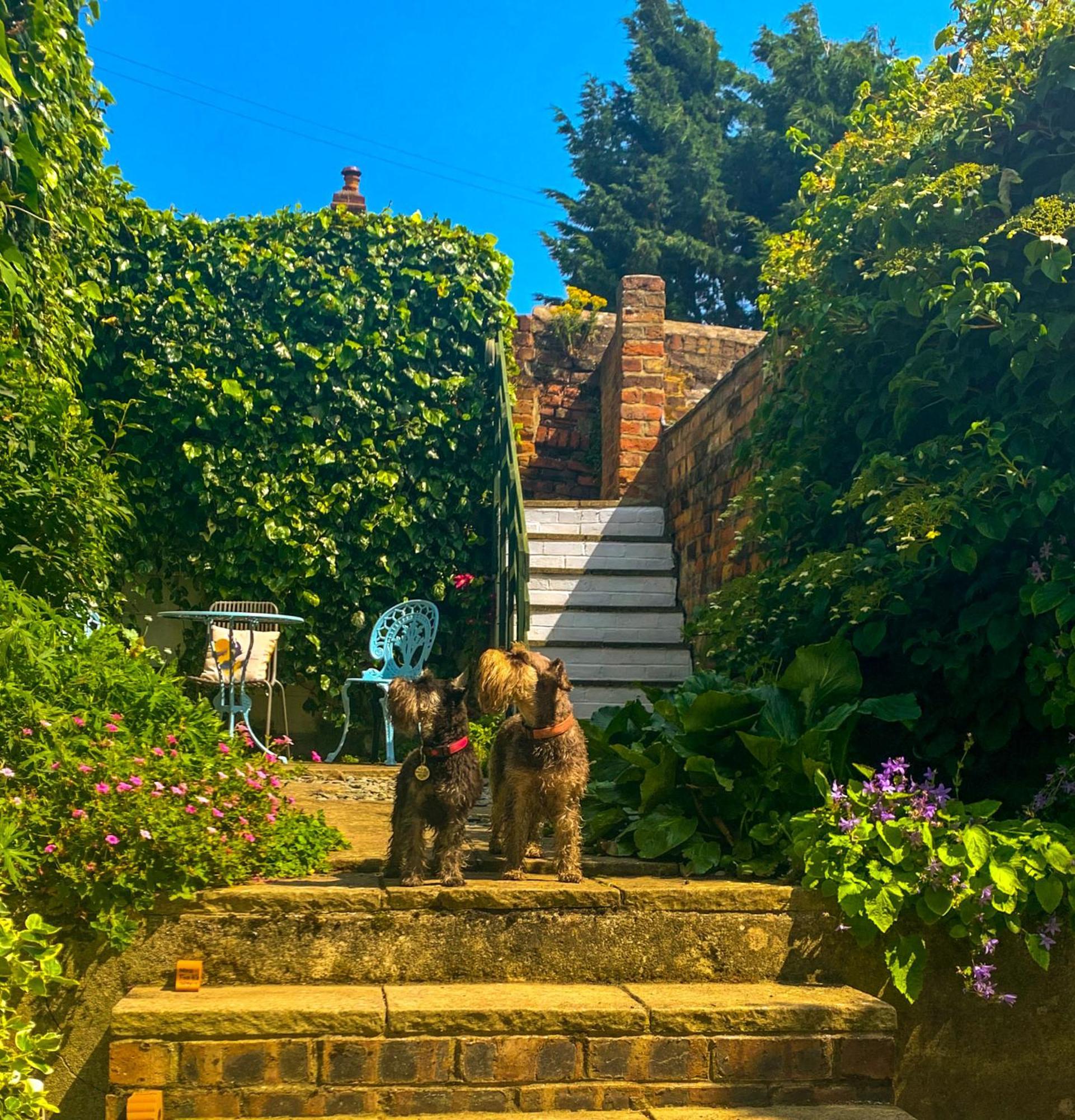 Gowland Cottage, Old Town, Scarborough Ngoại thất bức ảnh